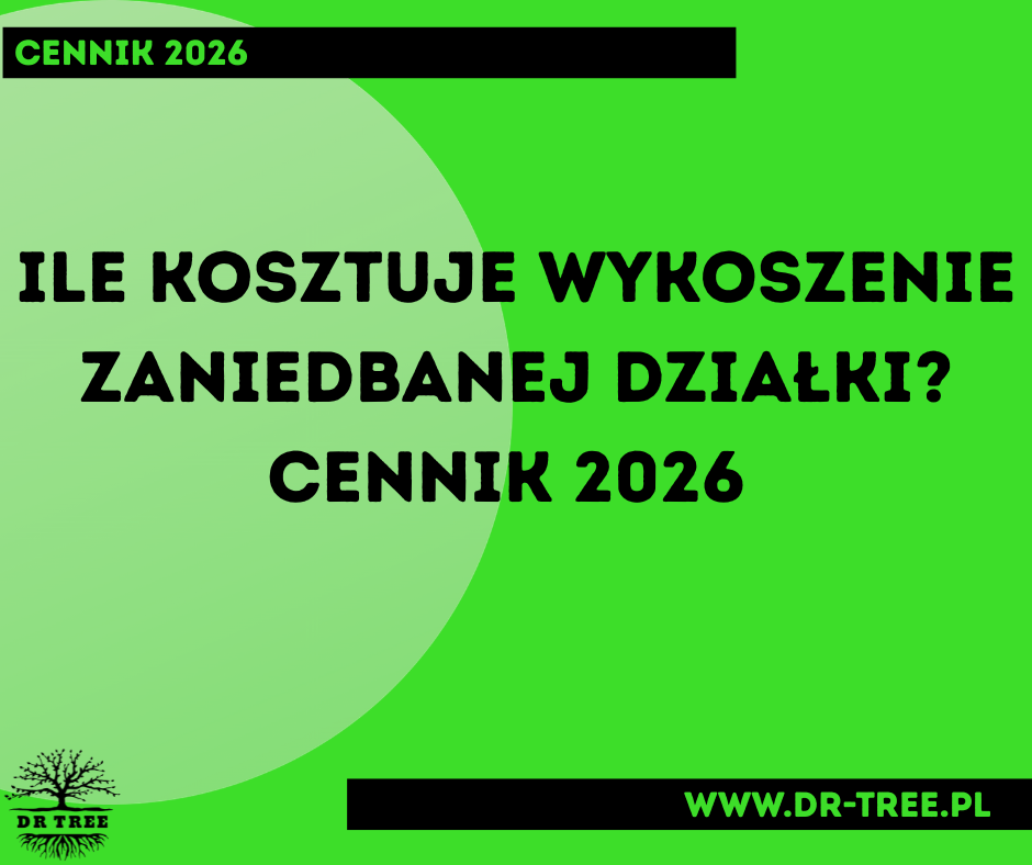 Read more about the article Ile kosztuje wykoszenie zaniedbanej działki? Cennik 2026