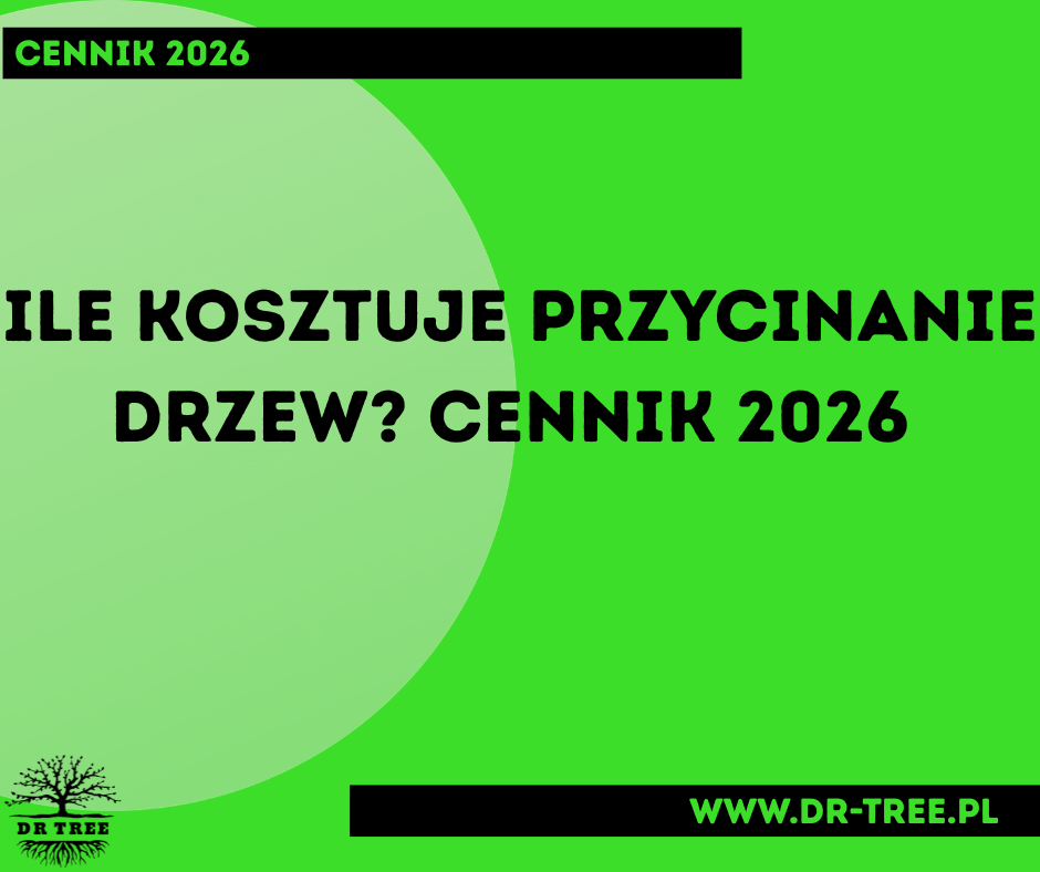 Read more about the article Ile kosztuje przycinanie drzew? Cennik 2026