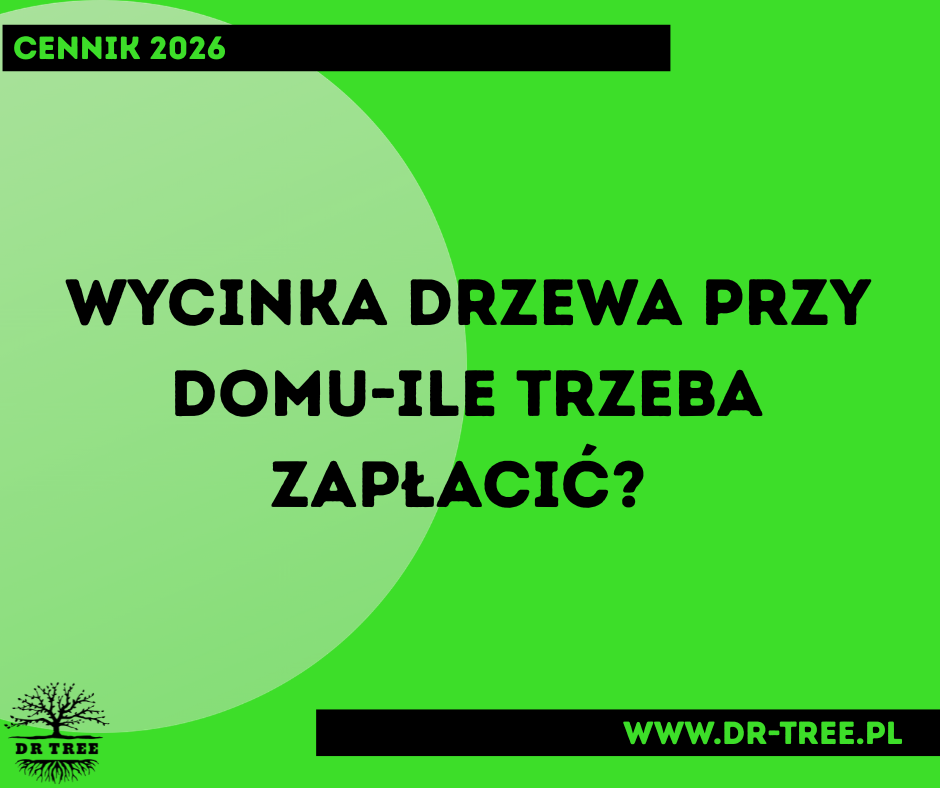 Read more about the article Wycinka drzewa przy domu – ile trzeba zapłacić?