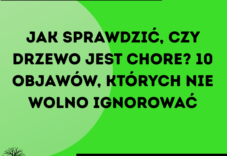 Jak sprawdzić, czy drzewo jest chore – najczęstsze objawy chorego drzewa
