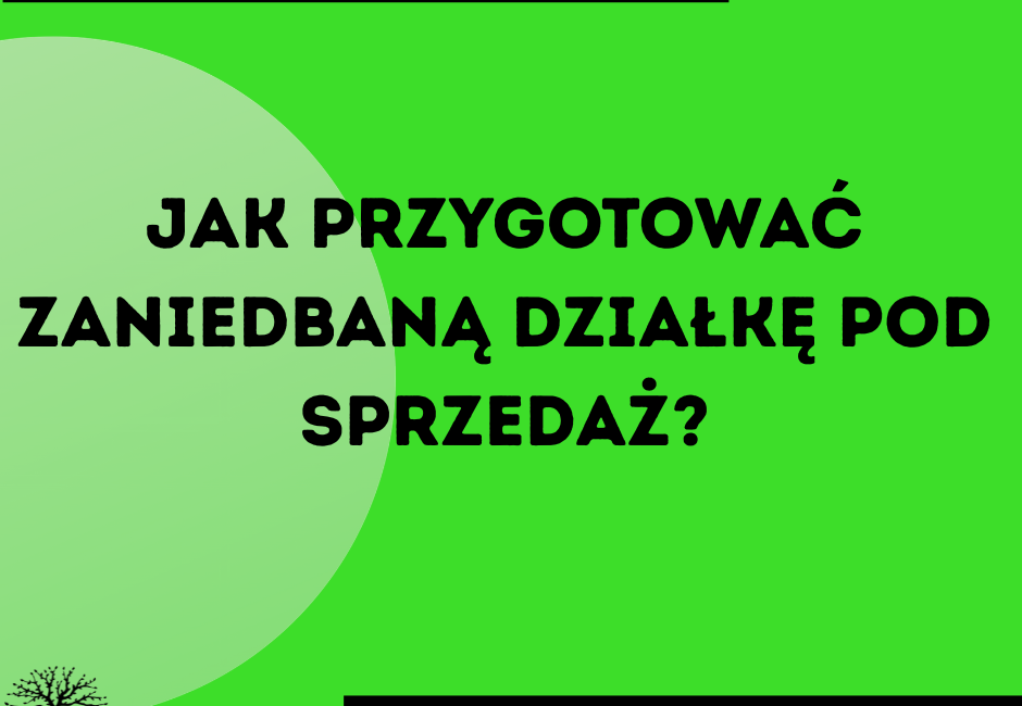 jak przygotować działkę pod sprzedaż?