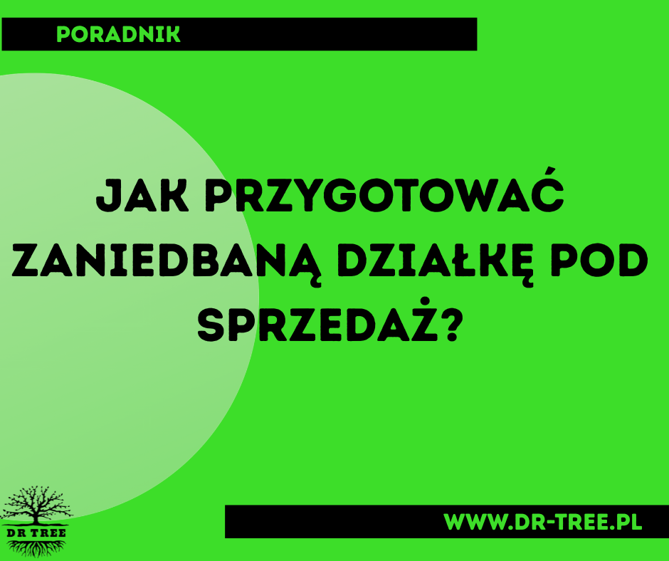 jak przygotować działkę pod sprzedaż?