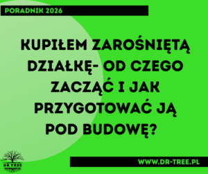 kupiłem zarośniętą działkę przed przygotowaniem pod budowę