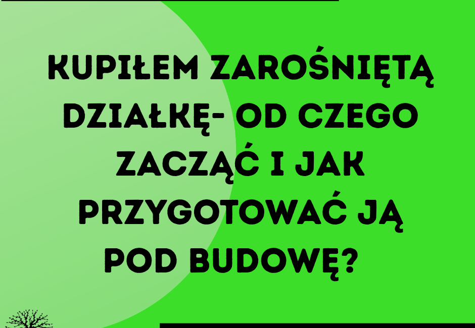 kupiłem zarośniętą działkę przed przygotowaniem pod budowę